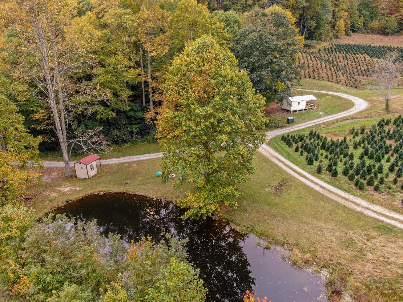 Songbird Cabin Villa Vilas Dış mekan fotoğraf